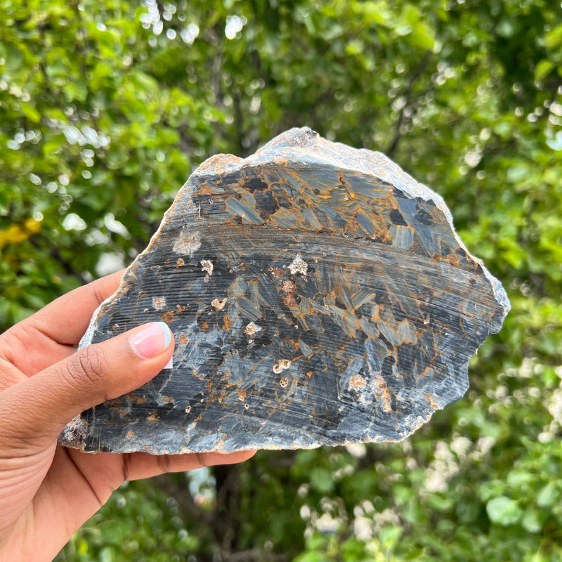 7.8” Pietersite Slice from Outjo District, Kunene Region, Namibia