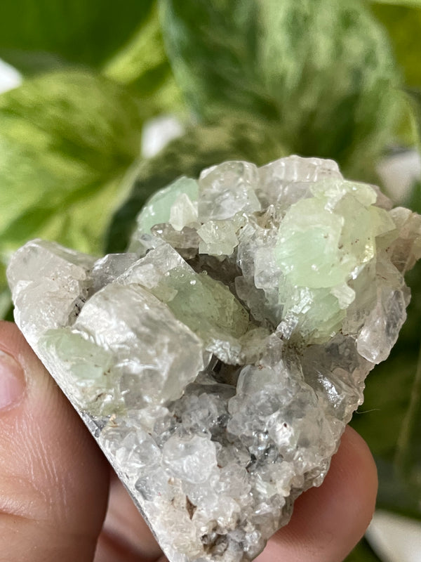 Prehnite on Quartz Matrix, Specimen from Xoboxobos, Brandberg District, Namibia