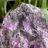 Sugilite from N’chwaning Mine III, Kalahari Manganese Field, Northern Cape, South Africa