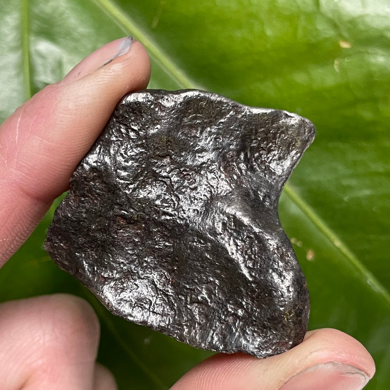 GIBEON METEORITE, 69.9g Iron and nickel Meteorite from Namaland, Namibia