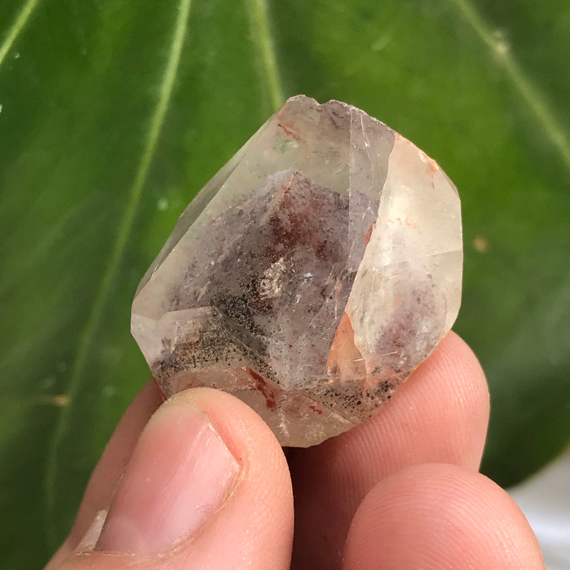 Ishuko Red Phantom Quartz, One Pound, 25 pieces, Hematite included Quartz from the Central Province of Zambia