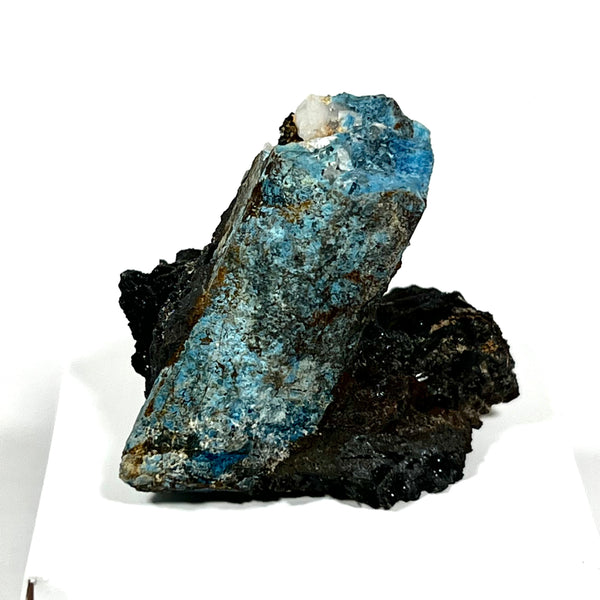 Deep Blue Shattuckite, Mesopotamia Copper Valley, Kunene, Namibia, African Mineral Specimen