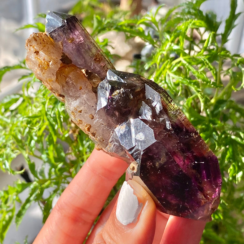 Shangaan Amethyst Sceptre, From Zimbabwe