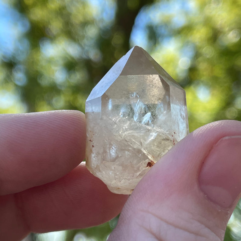 Over 1lb Lot of Kundalini Quartz Citrine, Democratic Republic of Congo, Lwena, Congo Citrine