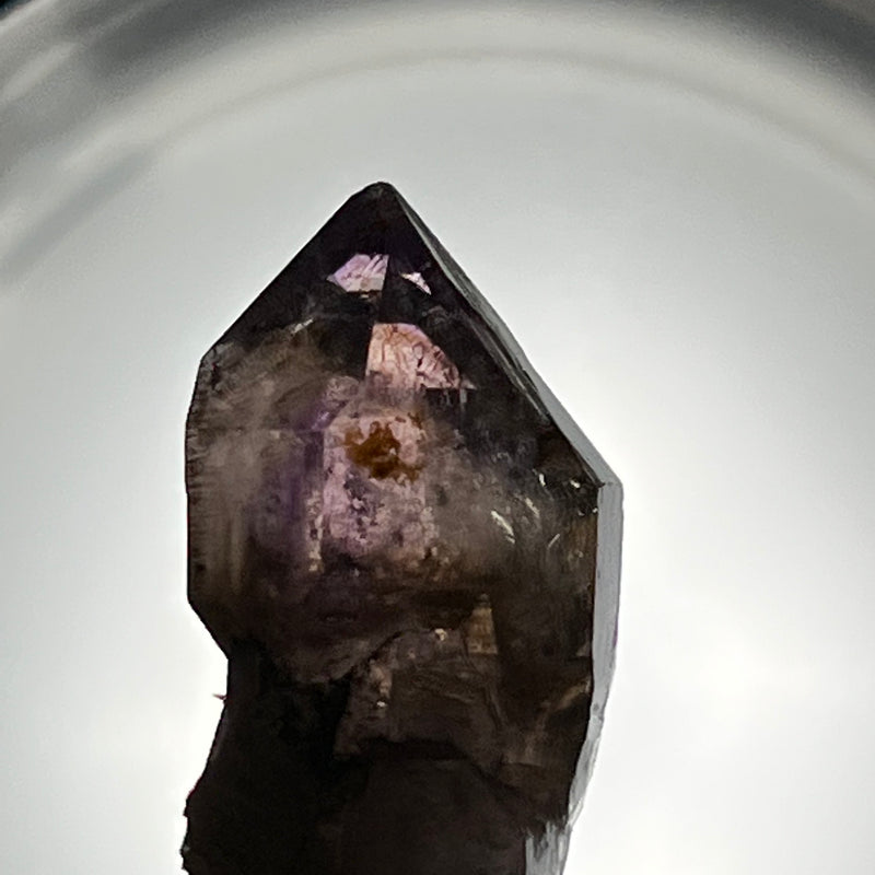 Smokey Quartz, Shangaan Amethyst Crystal From The Chibuku Mine, Gezani Communal Land, Zimbabwe