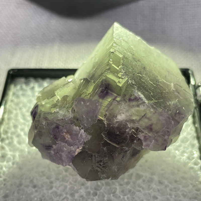 Purple and Light Green Fluorite in display box, Erongo Mountain, Erongo Region, Namibia