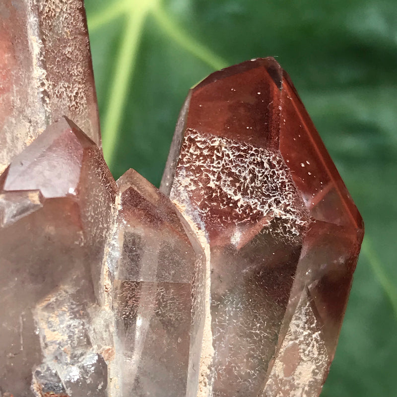 Vivid Ishuko Red Phantom Quartz Cluster, Hematite included Quartz from the Central Province of Zambia