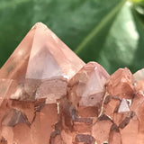 Ishuko Red Phantom Quartz Cluster, Hematite included Quartz from the Central Province of Zambia