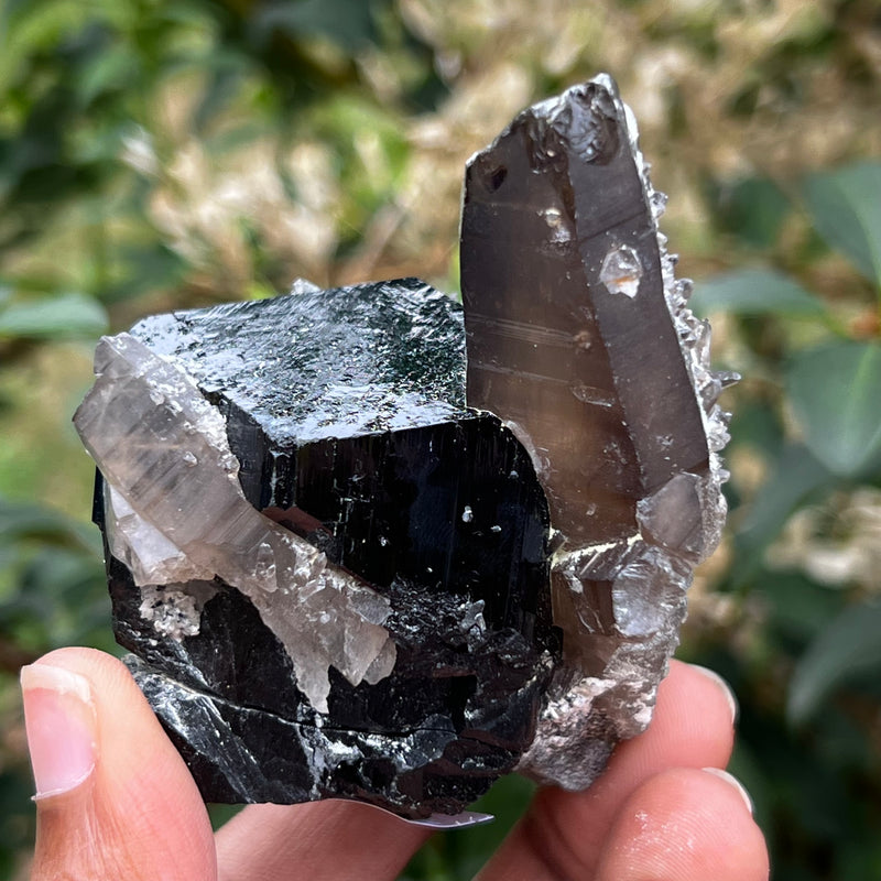 Black Tourmaline Crystal with Smoky Quartz Antenna from Rondekop, Erongo Mountain, Erongo Region, Namibia