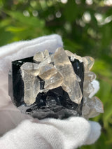 Black Tourmaline Crystal with Smoky Quartz, Mineral Specimen from Erongo Mountain, Erongo Region, Namibia