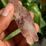 3.6" Shangaan Amethyst Scepter from Zimbabwe