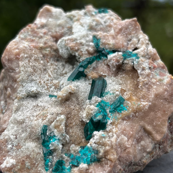 Self-Standing Dioptase on Matrix, Mineral Specimen from Kunene Region, Namibia, Africa