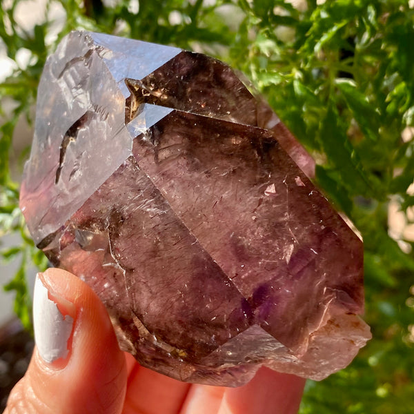 Shangaan Amethyst From Zimbabwe