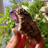 Shangaan Amethyst Cluster, From Zimbabwe