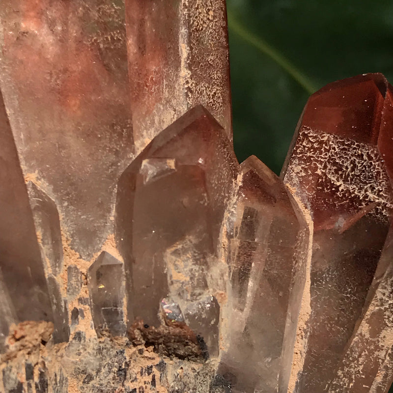 Vivid Ishuko Red Phantom Quartz Cluster, Hematite included Quartz from the Central Province of Zambia