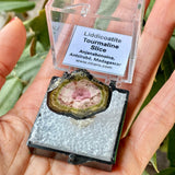 18.5 ct Pink and Green Liddicoatite Slice, Rare Tourmaline from Antsirabe, Madagascar