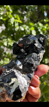 Black Tourmaline Crystal, from Erongo Mountain, Erongo Region, Namibia