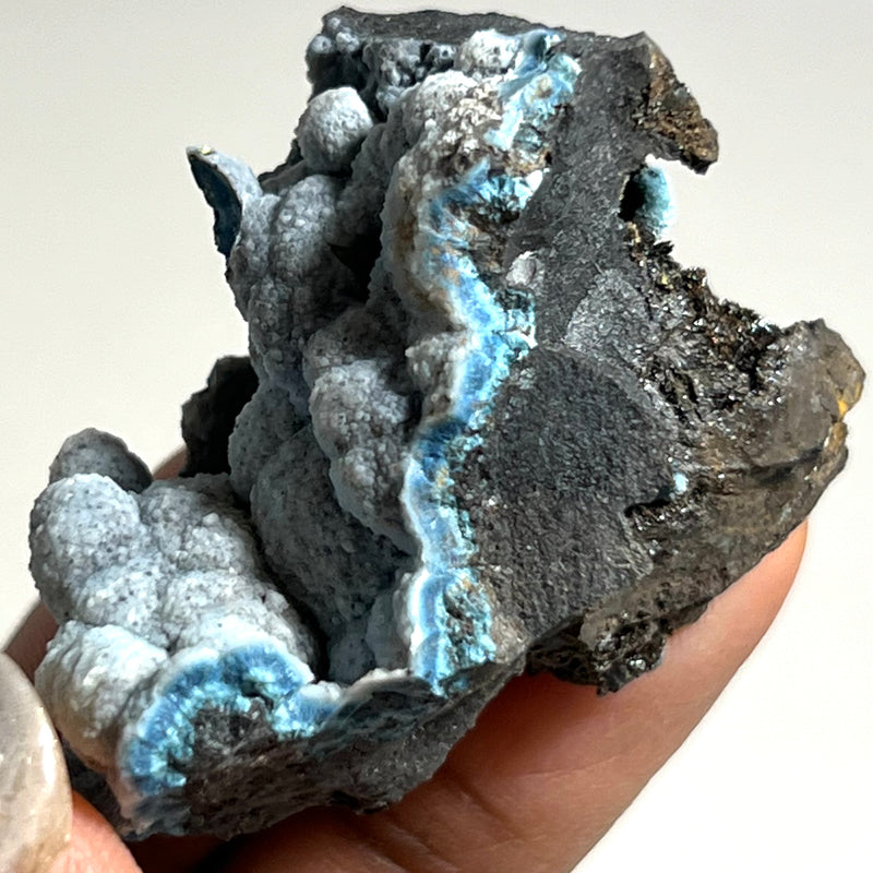 Botryoidal Blue Shattuckite, Mesopotamia Copper Valley, Kunene, Namibia, African Mineral Specimen