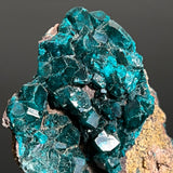 Druzy Dioptase Crystal, Mineral Specimen from Katanga, DR Congo