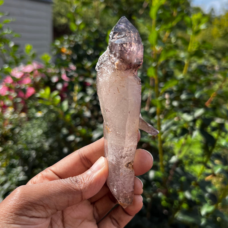 Gorgeous 13 cm Shangaan Amethyst Crystal with Hematite Inclusions From Zimbabwe