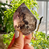 Shangaan Amethyst, From Zimbabwe