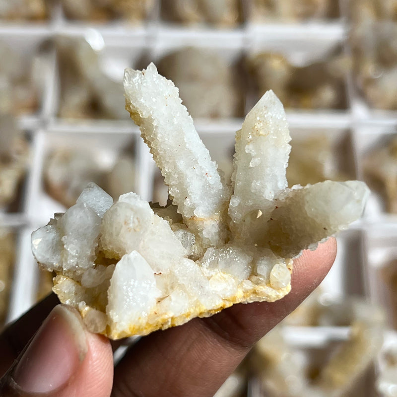 1 piece of Witch’s Finger Quartz from Boukenhoethoek, South Africa