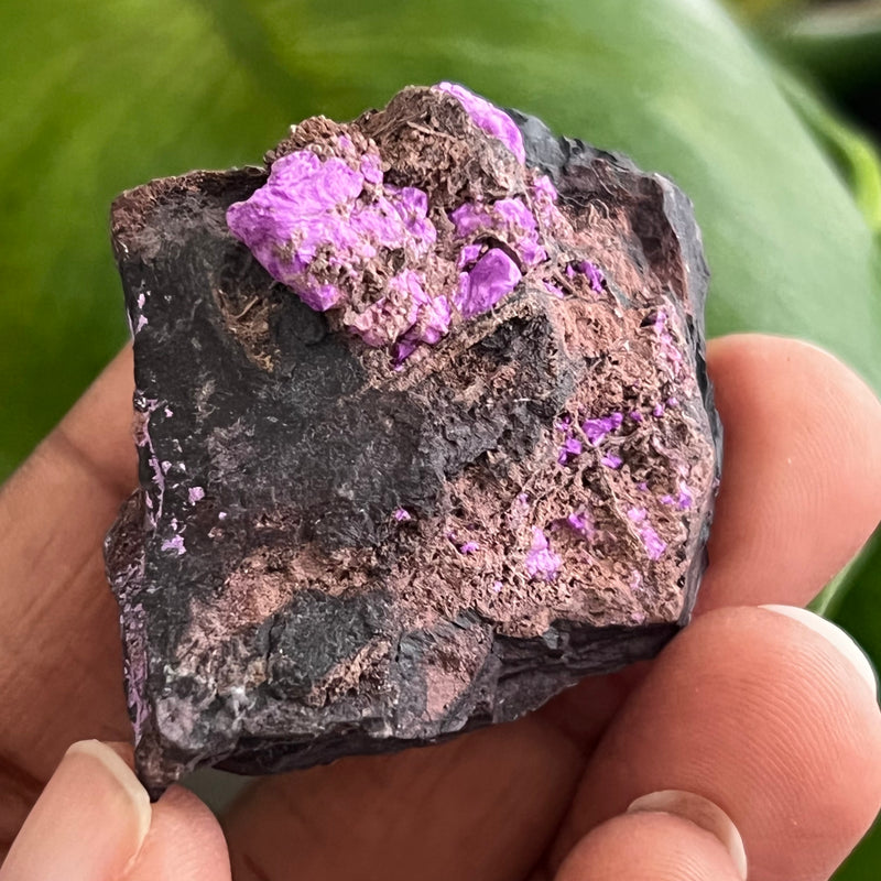 Sugilite from N’chwaning Mine III, Kalahari Manganese Field, Northern Cape, South Africa