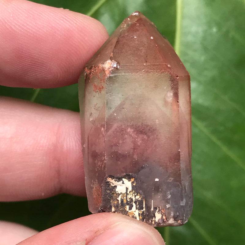 5 Ishuko Red Phantom Quartz, Hematite included Quartz from the Central Province of Zambia