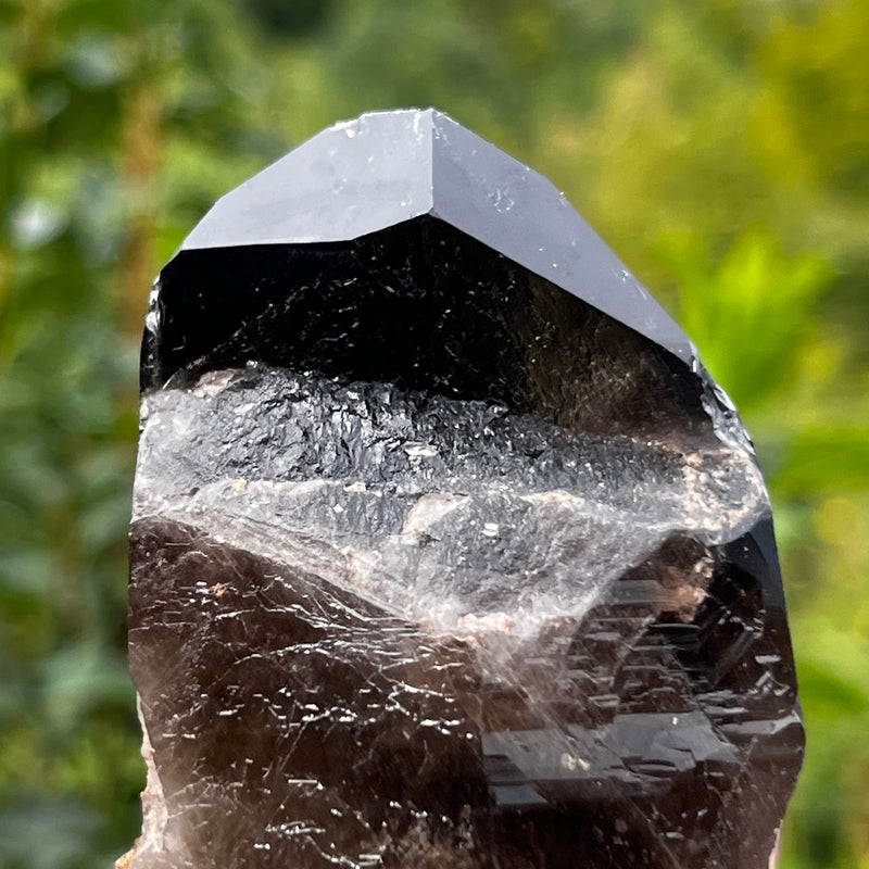 Smoky Quartz From Mount Malosa, Zomba, Malawi, Africa