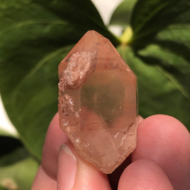 5 Ishuko Red Phantom Quartz, Hematite included Quartz from the Central Province of Zambia