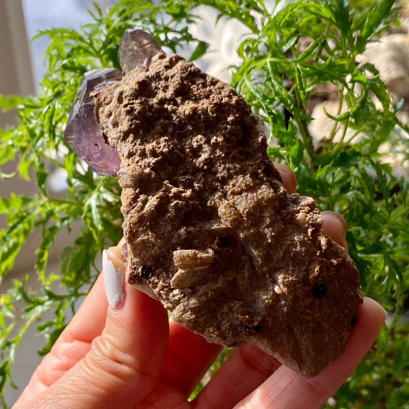 Shangaan Amethyst Cluster, From Zimbabwe