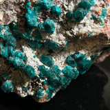 Dioptase, Tsumeb Mine, Tsumeb, Oshikoto Region, Namibia