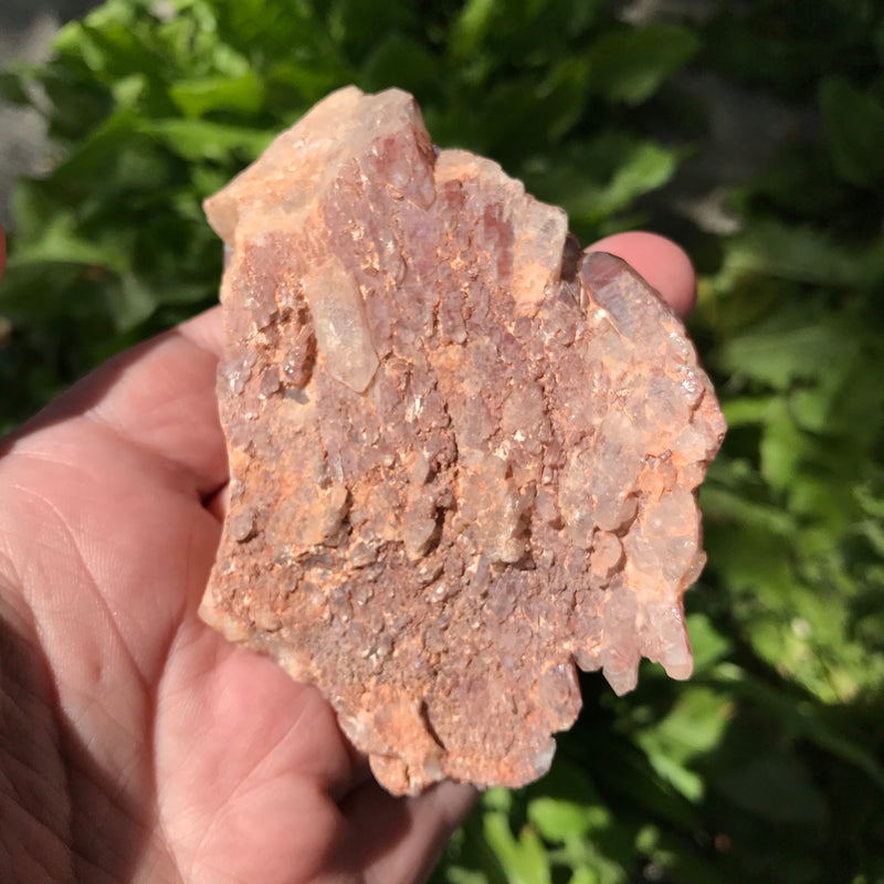 Tabular Ishuko Red Phantom Quartz cluster, Hematite included Quartz from the Central Province of Zambia