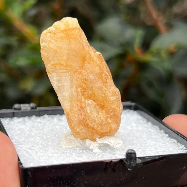 Raw Phenakite Crystal, Okuta-didan Mine (Shining Star) Mine, Jos Plateau, Nigeria