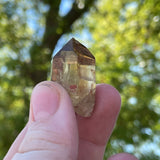 Over 1lb Lot of Kundalini Quartz Citrine, Democratic Republic of Congo, Lwena, Congo Citrine