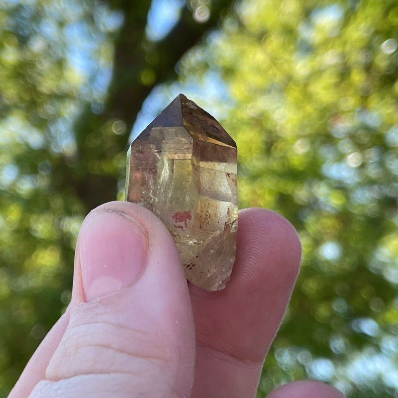 Over 1lb Lot of Kundalini Quartz Citrine, Democratic Republic of Congo, Lwena, Congo Citrine