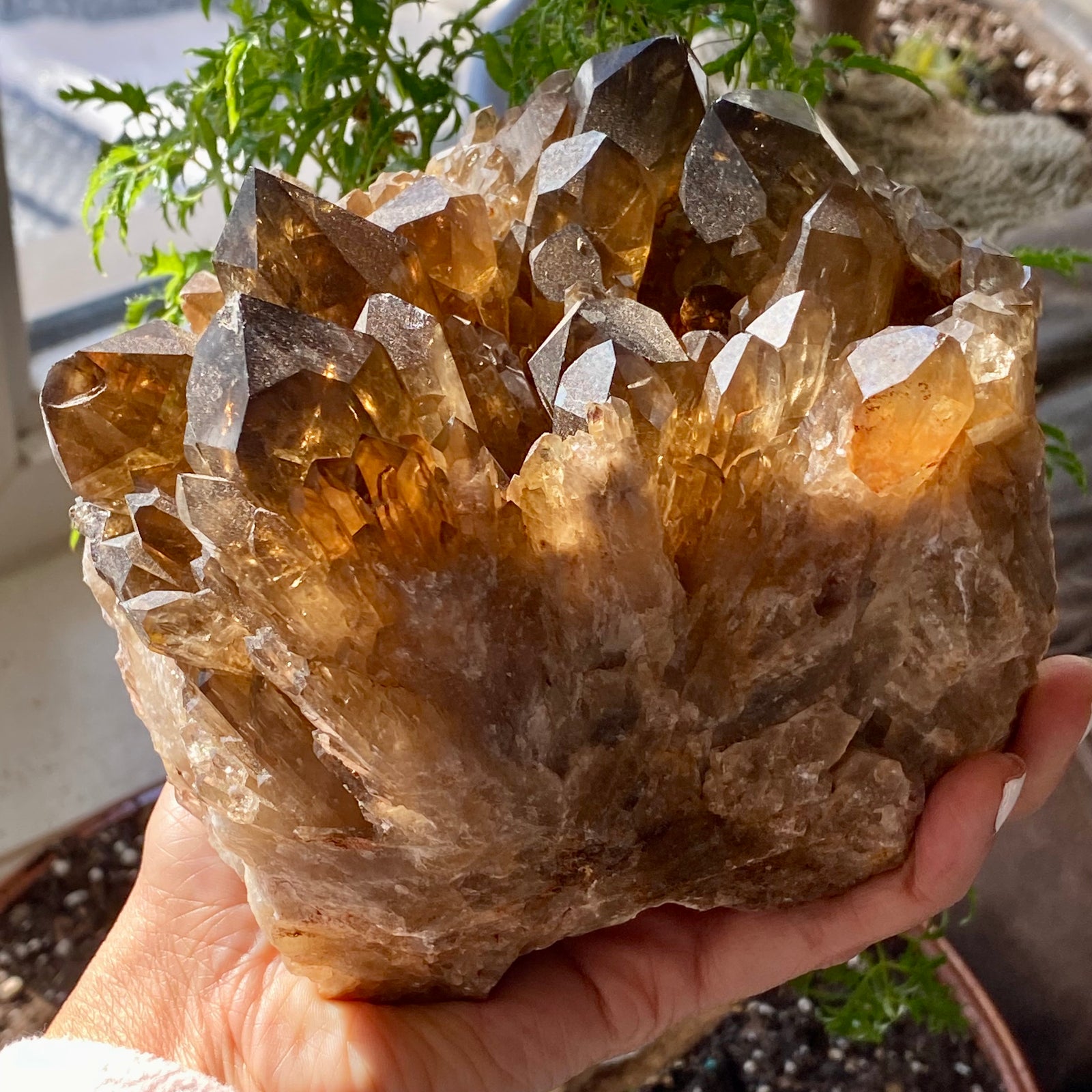 Citrine Elestial Crystal Large 5.6 oz . Cluster ~ 3