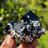 Lustrous Black Tourmaline Crystal with Feldspar, from Erongo Mountain, Erongo Region, Namibia