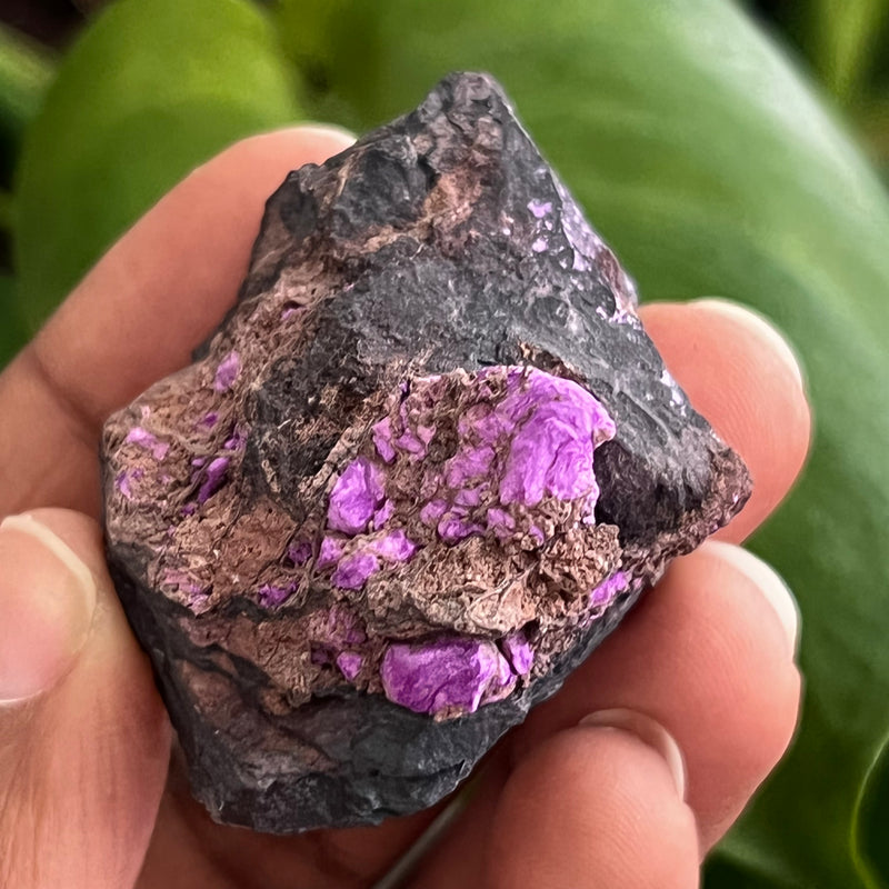 Sugilite from N’chwaning Mine III, Kalahari Manganese Field, Northern Cape, South Africa