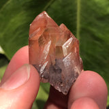 5 Ishuko Red Phantom Quartz, Hematite included Quartz from the Central Province of Zambia