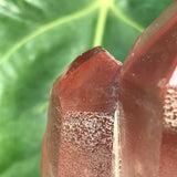 Vivid Ishuko Red Phantom Quartz Cluster, Hematite included Quartz from the Central Province of Zambia