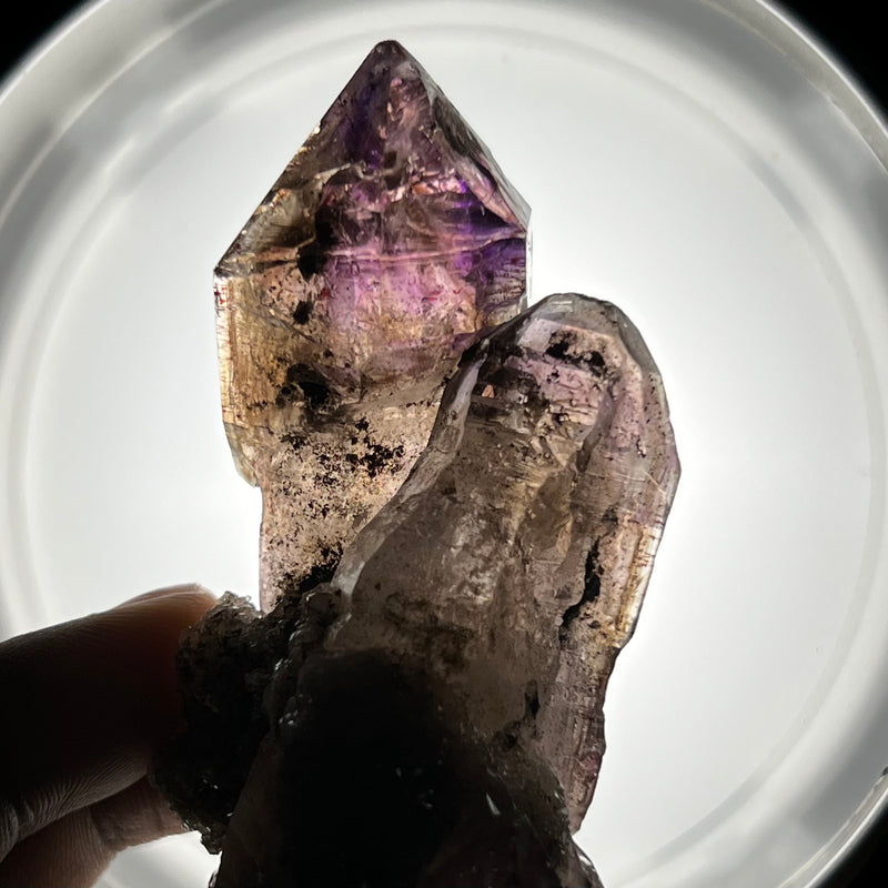 Hugging Twin Smokey Quartz, Shangaan Amethyst Crystal From The Chibuku Mine, Gezani Communal Land, Zimbabwe