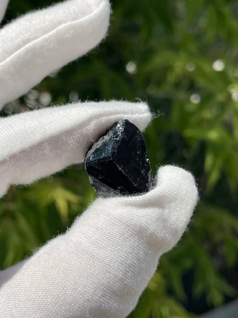 Set of Five Black Tourmaline Crystals, Crystals from Erongo Mountain, Erongo Region, Namibia