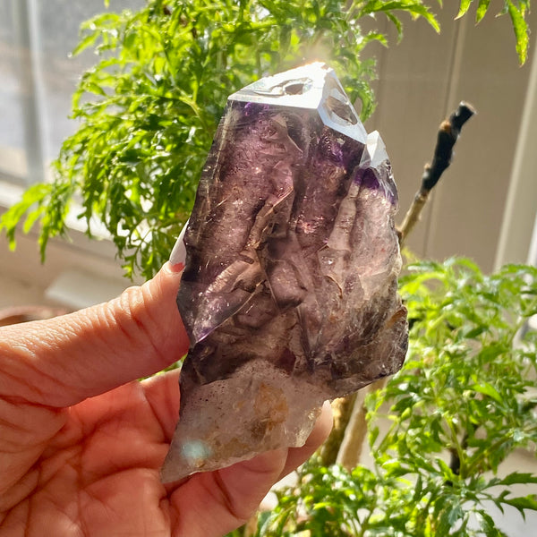 Shangaan Amethyst, From Zimbabwe