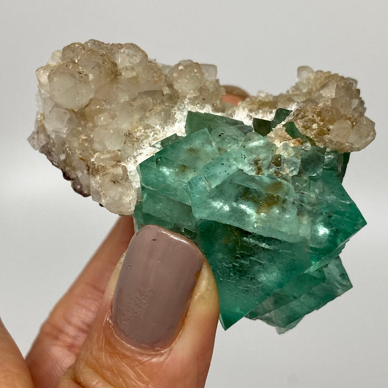 Green Fluorite with Quartz from Riemvasmaak, Namaqualand, Witbank Region, South Africa