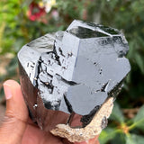 1.3 lb Lustrous Black Tourmaline Crystal, from Erongo Mountain, Erongo Region, Namibia