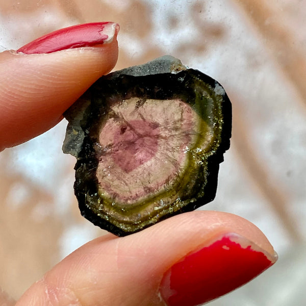 15.8 ct Pink and Green Liddicoatite Slice, Rare Tourmaline from Antsirabe, Madagascar