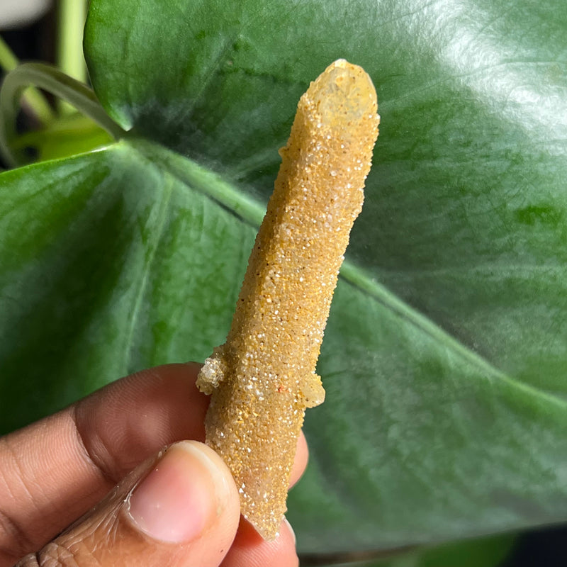 1 piece of Witch’s Finger Quartz from Boukenhoethoek, South Africa