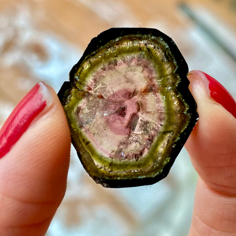 18.5 ct Pink and Green Liddicoatite Slice, Rare Tourmaline from Antsirabe, Madagascar