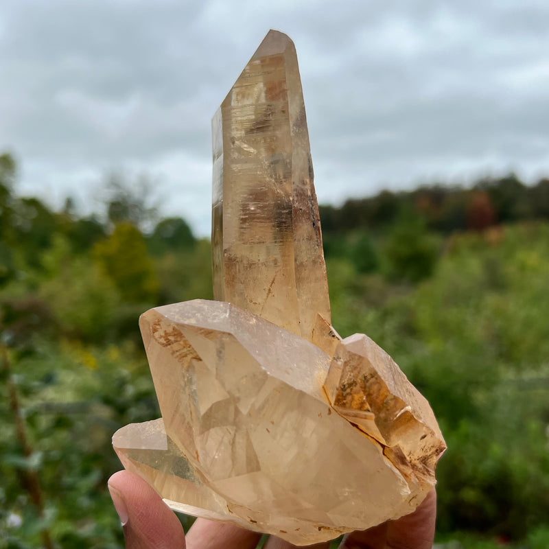 Phantom Discovery Quartz with Chlorite from Chongwe, Zambia